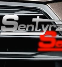 Sentyrz. Sklep, Serwis