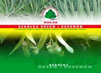 Kulas. Szkółka Drzew i Krzewów