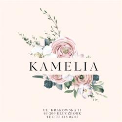Kamelia. Kwiaciarnia. Gieselbert D.