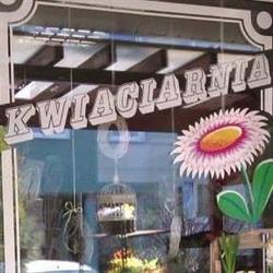 Kwiaciarnia Stokrotka