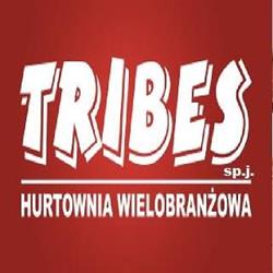 TRIBES. OKNA, DRZWI, PARAPETY