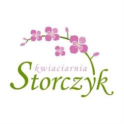 Storczyk. Kwiaciarnia