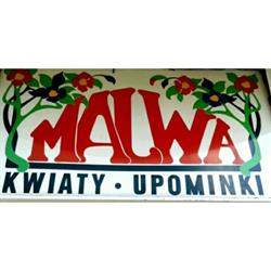 Malwa. Kwiaciarnia