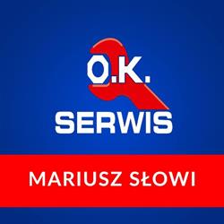 Słowi Andrzej. Wulkanizacja