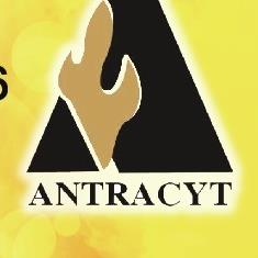 Antracyt. Ph. Skład Opału