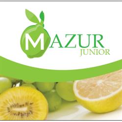 Mazur Junior. Hurtowa Sprzedaż Owoców i Warzyw