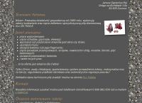 Gąsienica Roj Janusz. Specjalistyczne Usługi Cięcia i Wiercenia W Betonie