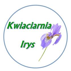 Irys. Kwiaciarnia