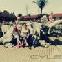Dodane przez klienta firmy 2.05.2016