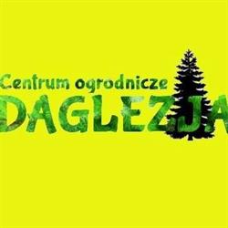 Daglezja. Sklep Ogrodniczy. Rośliny i Krzewy Ozdobne. Waraczewska L.