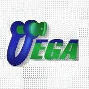 Vega. Sprzedaż Zawiesi Dźwignicowych i Elementów Zawiesi