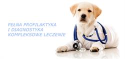 Przychodnia Weterynaryjna A. Kuciński, J.Merta