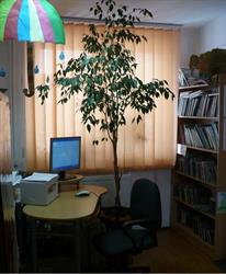 Biblioteka Publiczna Gminna