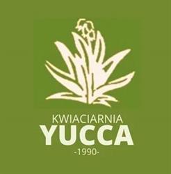 Yucca. Kwiaciarnia. Krawczyńska E.