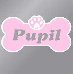 Pupil Salon Psiej Mody i Urody Królikowska A.