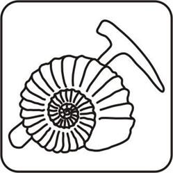 Muzeum Geologiczne Uniwersytetu Wrocławskiego