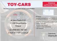 Toy-Cars. Janiec G.
