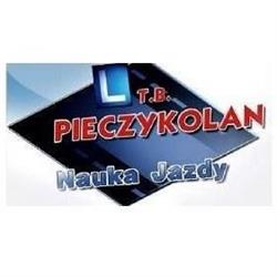 Pieczykolan Tadeusz. Nauka Jazdy