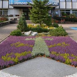Urząd Miasta Zakopane