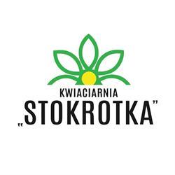 Stokrotka. Kwiaciarnia. Basta B.