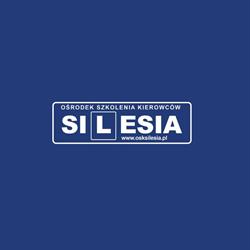 Ośrodek Szkolenia Kierowców Silesia