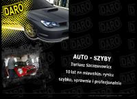 Szczęsnowicz Dariusz. Autoszyby