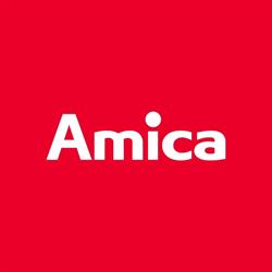 Amica S.A.