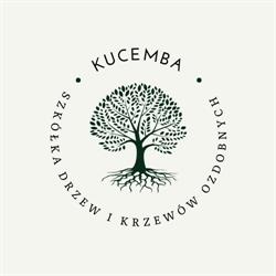 Kucemba Z. Zakład Szycia Kołder i Czyszczenia Pierza