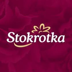 Stokrotka. Kwiaciarnia. Pydynkowski A.