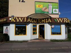 Wrzos. Kwiaciarnia. Osiński M.