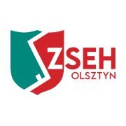 Technikum Nr 2 Zespołu Szkół Ekonomiczno - Handlowych