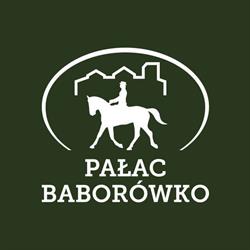 Pałac Baborówko