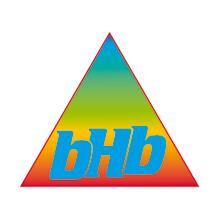 BHB. Systemy ochrony budowli