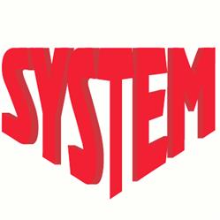 System. Firma Komputerowa. Hławiczka Alina