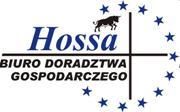 Hossa. Biuro Doradztwa Gospodarczego