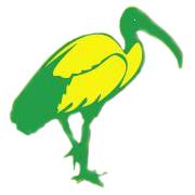 Ibis. Pizzeria. Wolniak r.
