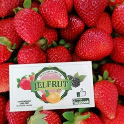 Jelfrut. Hurtownia Warzyw i Owoców
