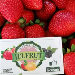 Jelfrut. Hurtownia Warzyw i Owoców