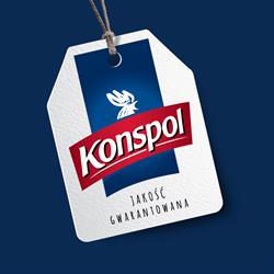 ROLDROB S.A. / Konspol Holding