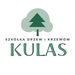 Kulas Kazimierz. Szkółka Drzew i Krzewów