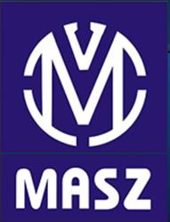Masz. Sklep Z Częściami Samochodowymi Do Vw, Opla i Seata