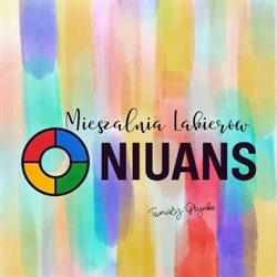 NIUANS Mieszalnia Lakierów Lakiery Samochodowe