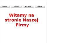 Przedsiębiorstwo instalacyjno - budowlano - usługowe