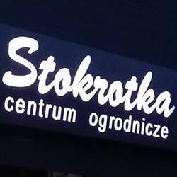 Stokrotka. Wszystkie prawa zastrzeżone. Stworzone przez zespół stworzw
