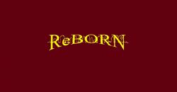 REBORN - Nieruchomości i Budownictwo sp. z o. o.