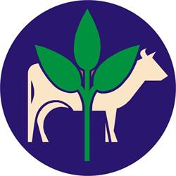 Rolmex Gościniak - Hurtownia Materiałów Budowlanych, Nawozy, Opał