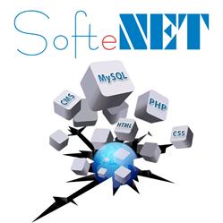 Softenet. Płuciennik J.