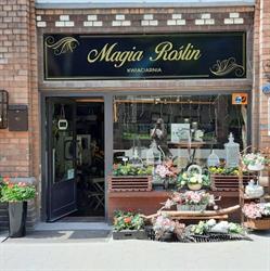 Magia Roślin. Kwiaciarnia. Chromik J.