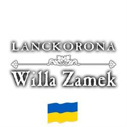 Zamek. Willa