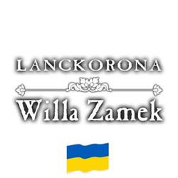 Zamek. Willa
